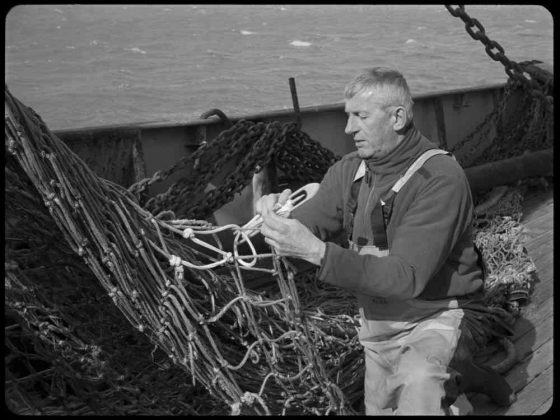Episode of the Sea