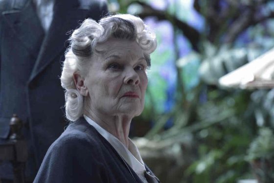 Judi Dench as Miss Avocet 