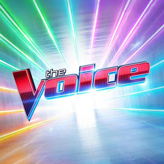 THE VOICE WAS IN TOP FORM WITH JUGES BLOCKING FOR ARTIST