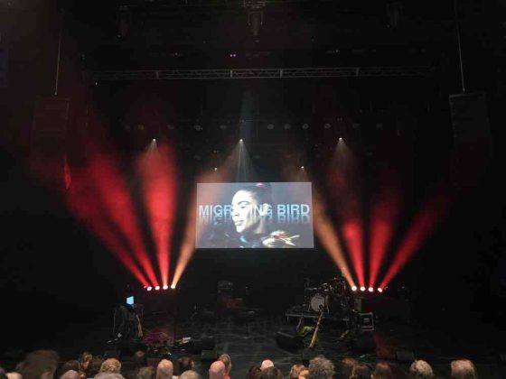 Review: Brisbane Festival Migrating Bird Takes Flight: Véronique Serret’s Haunting Musical Journey with Nature